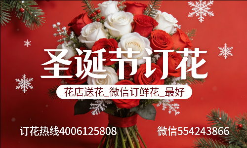酒泉敦煌市花店送花_微信订鲜花_圣诞节订花_最好? 酒泉敦煌市花店