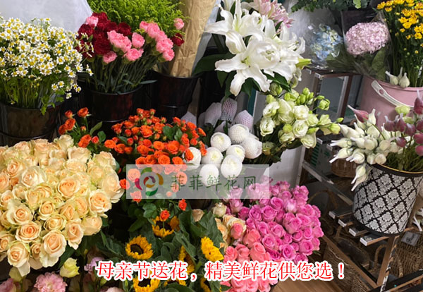 2024敦煌市母亲节送花,敦煌市精美鲜花供您选!
